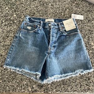 Abercrombie & Fitch Curve Love Dad Short High Rise